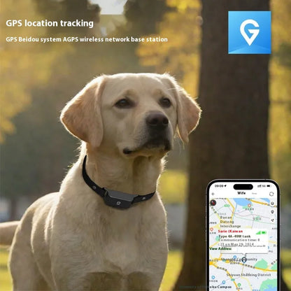 SafeTrack GPS Collar — Real-Time Pet Locator