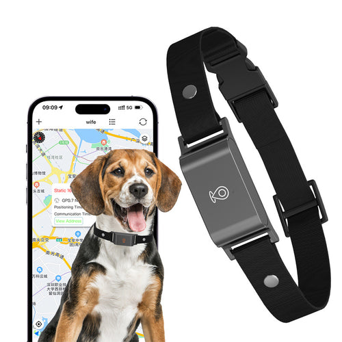 SafeTrack GPS Collar — Real-Time Pet Locator